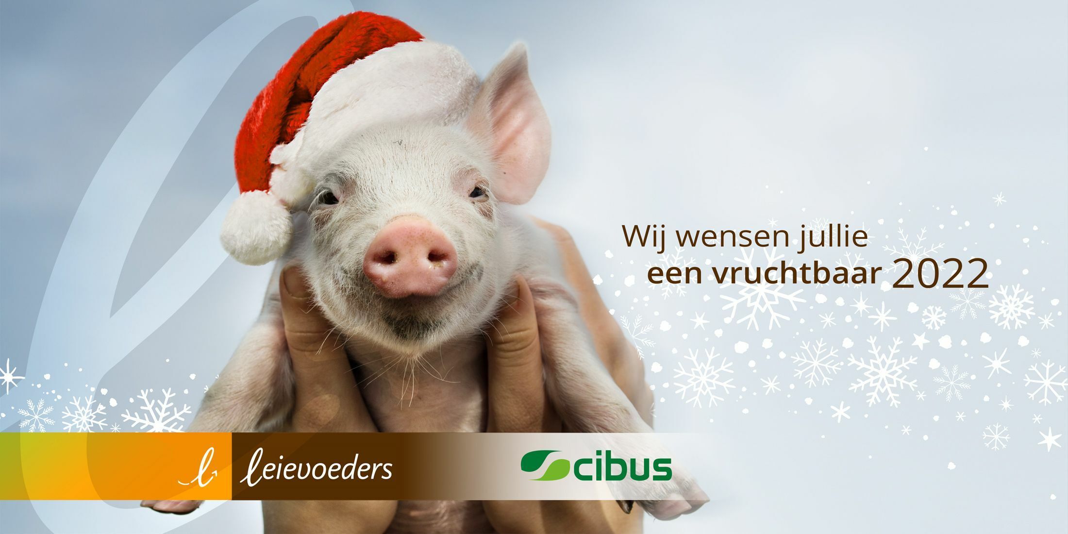 kerstfb-2021-nl.jpg